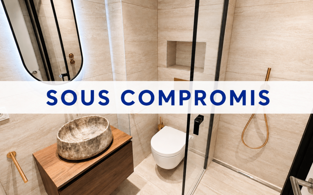 APPARTEMENT ENTIÈREMENT RÉNOVÉ